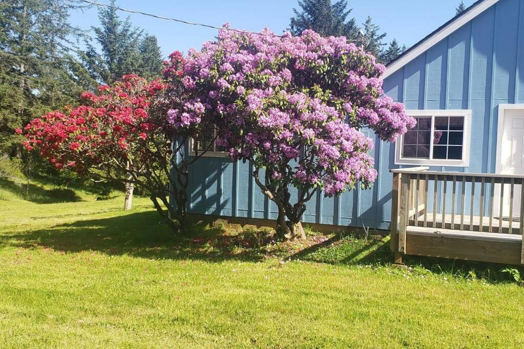 Coastal Charm: Sw Oregon Home On 2+ Quiet Acres Carpenterville Exteriér fotografie